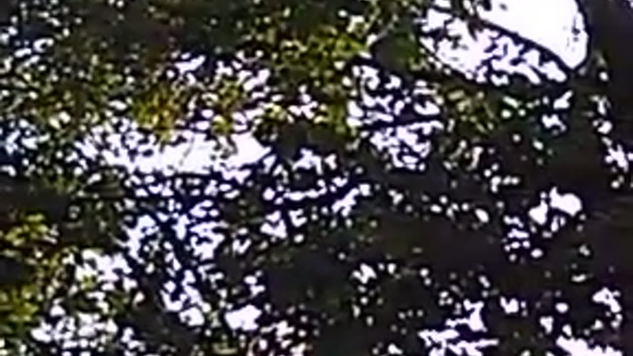 VID_0274 (ebhind the scenes)