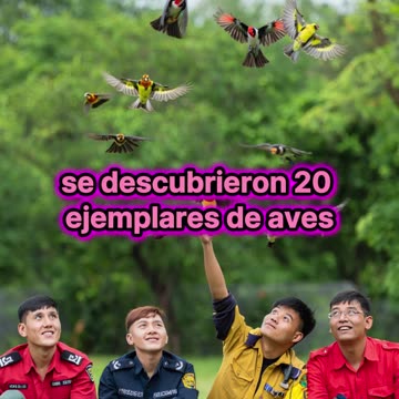 Operativo sorpresa: salvan 20 aves exóticas en La Plata