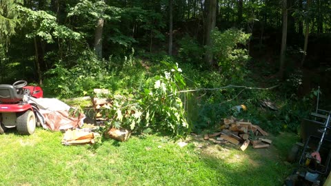 Felling a Tree