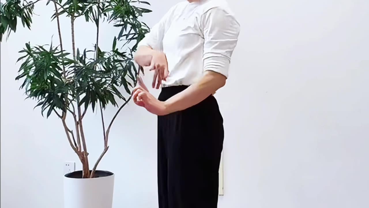 1118.脊椎控制力