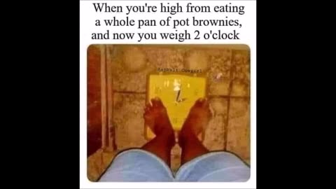 9725 Funny Laugh Out Loud Hilarious Memes Jokes Cartoons