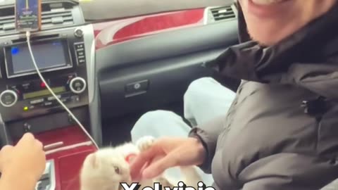 El taxi más adorable que puede llegar