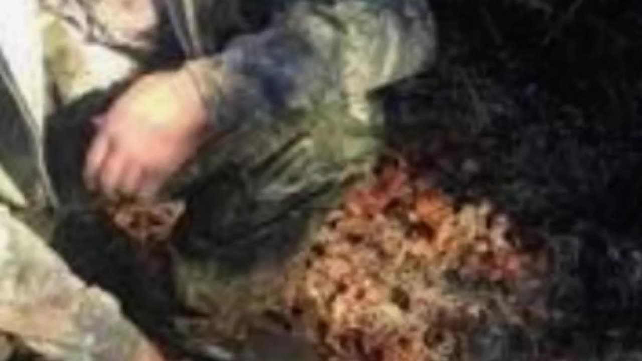 FAMOUS GRAVES - VOL. 574: DUSTY RHODES