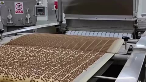 Dog food? Is that what you thought?