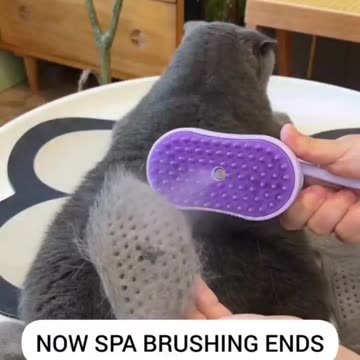 Cepillo de Vapor para Gato