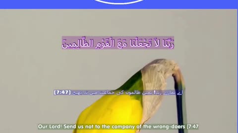 40 Rabbana Duas (Dua no 21)