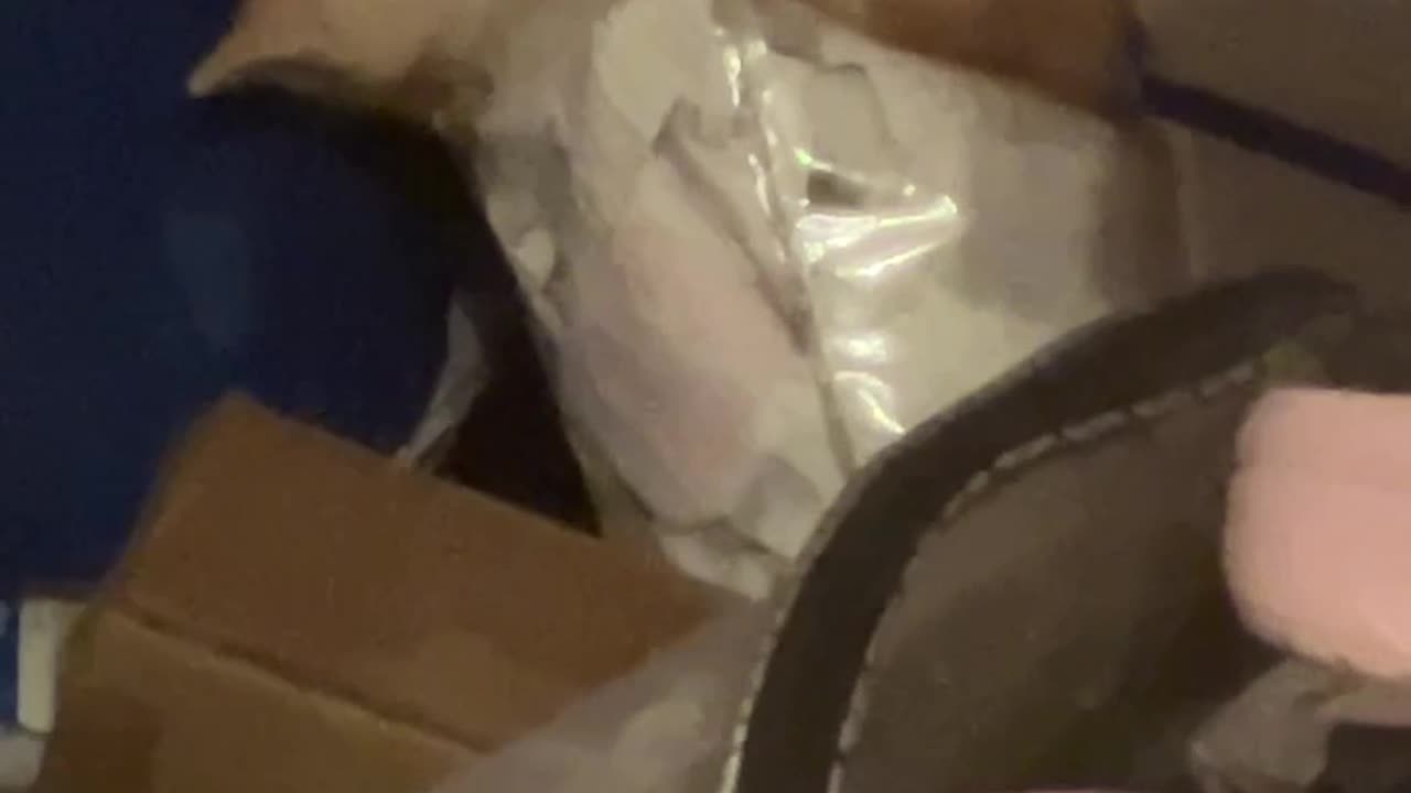 Official radi0sack kittens update vid 🐈