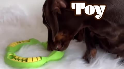 PetBuds Banana Shape Indestructible Dog Chew Toy