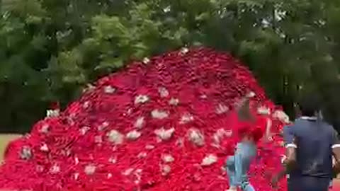 Find this key.....by mr.beast