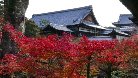 Japan in 8K ULTRA HD - Land of The Rising Sun