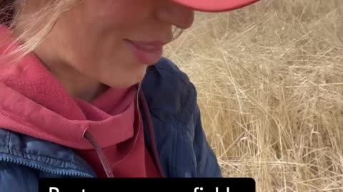 Natural Underground Nutrients & Regenerative Soil Practices at cartercountrymeats.com