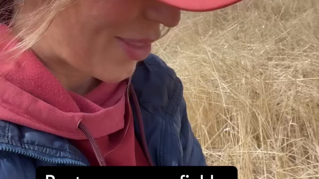 Natural Underground Nutrients & Regenerative Soil Practices at cartercountrymeats.com