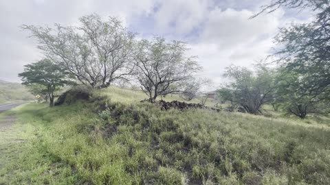 KOHALA RANCH AWAA PLACE - 39,840sf LOT FOR SALE