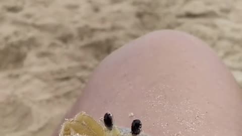 wait for it