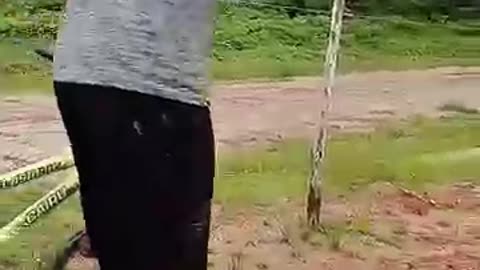 Funny video