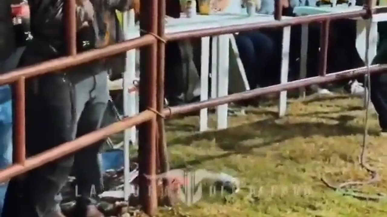 😱🤣 Regret at the Bar! | FunFM