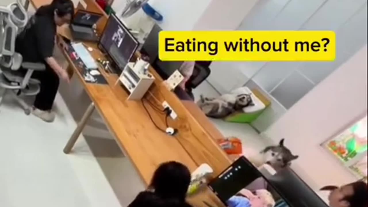 😱🐶 Dog's Reaction to Being Left Out is PRICELESS! | FunFM