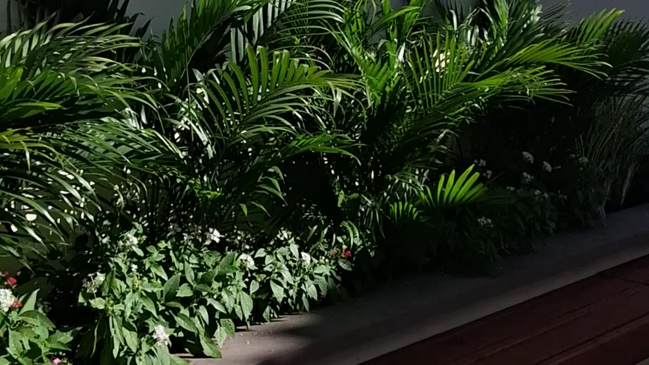 St. James Cathedral Downtown Orlando