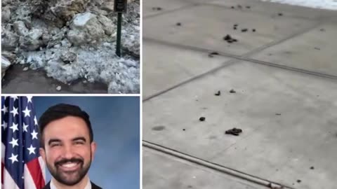 NYC residents are furious as giant snow piles melt, revealing streets filled with feces.
