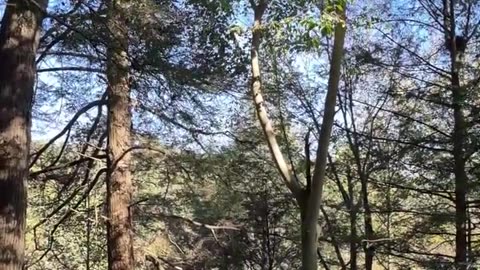 Tabletop Rock Hocking hills Ohio