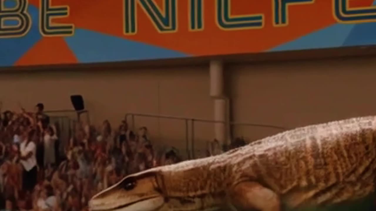 Reptiles Diving Challenge