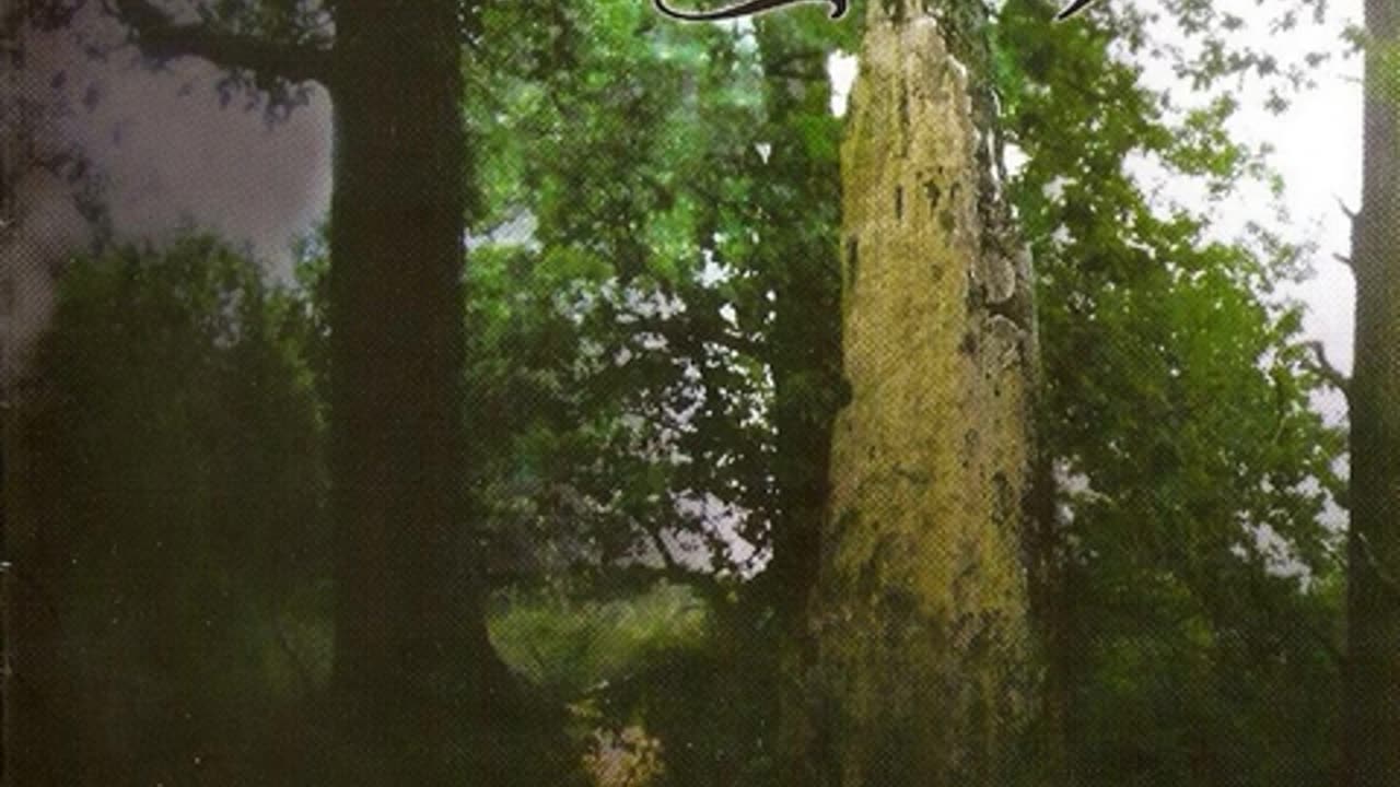 Asynja - Through The Misty Air (2007)