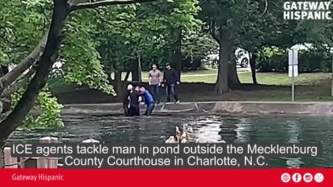 ICE tackles man in pond outside Charlotte courthouse