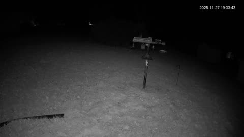 Bird Feeder in Western Maryland USA