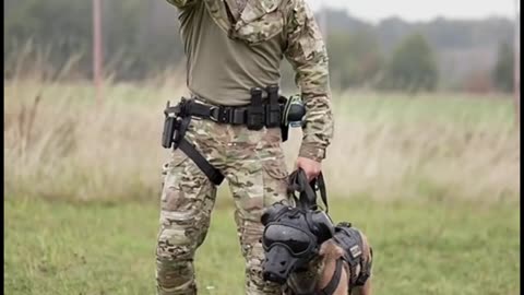 The most expensive dogs