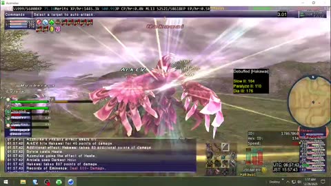Playing Final Fantasy XI Online