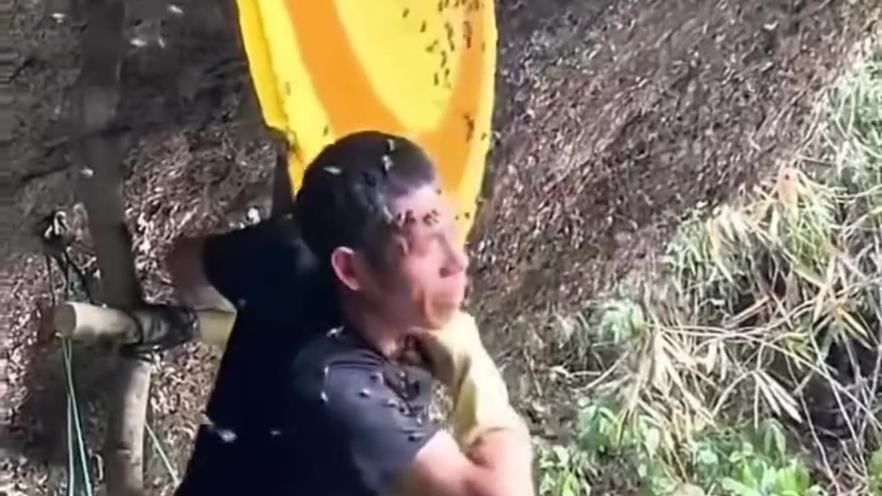 Oh Damn