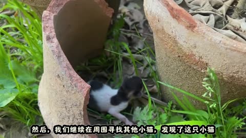 four-leg friend welcomed after long roadside wait
