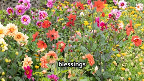 Practical Tips for Cultivating Gratutude During Tough Times: 1 Minute Faith Boost
