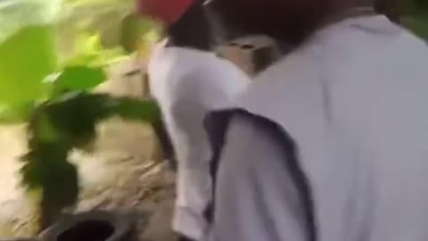 free energy coming straight out of the tree