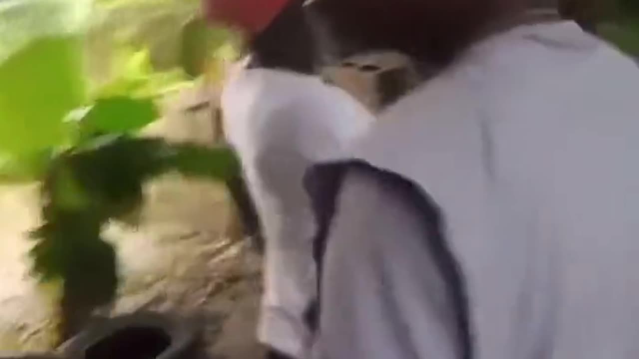 free energy coming straight out of the tree