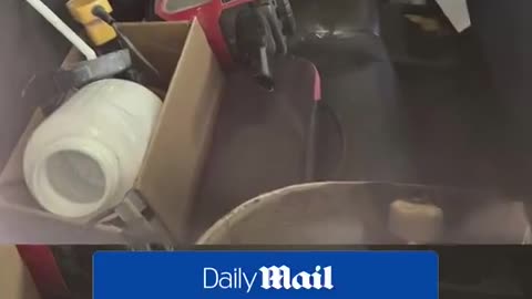 Breaking news: remember Lance Twiggs? He vanished