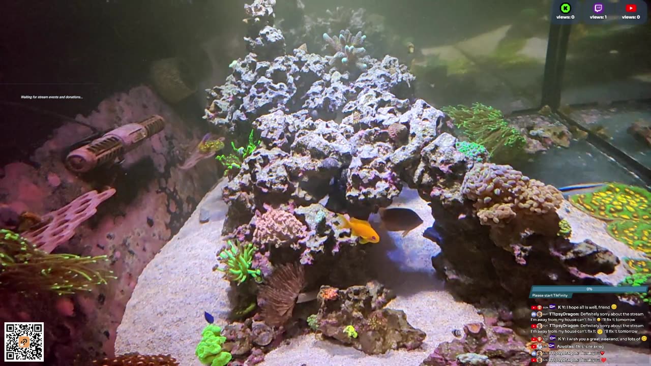 24/7 Real Live Reef Stream
