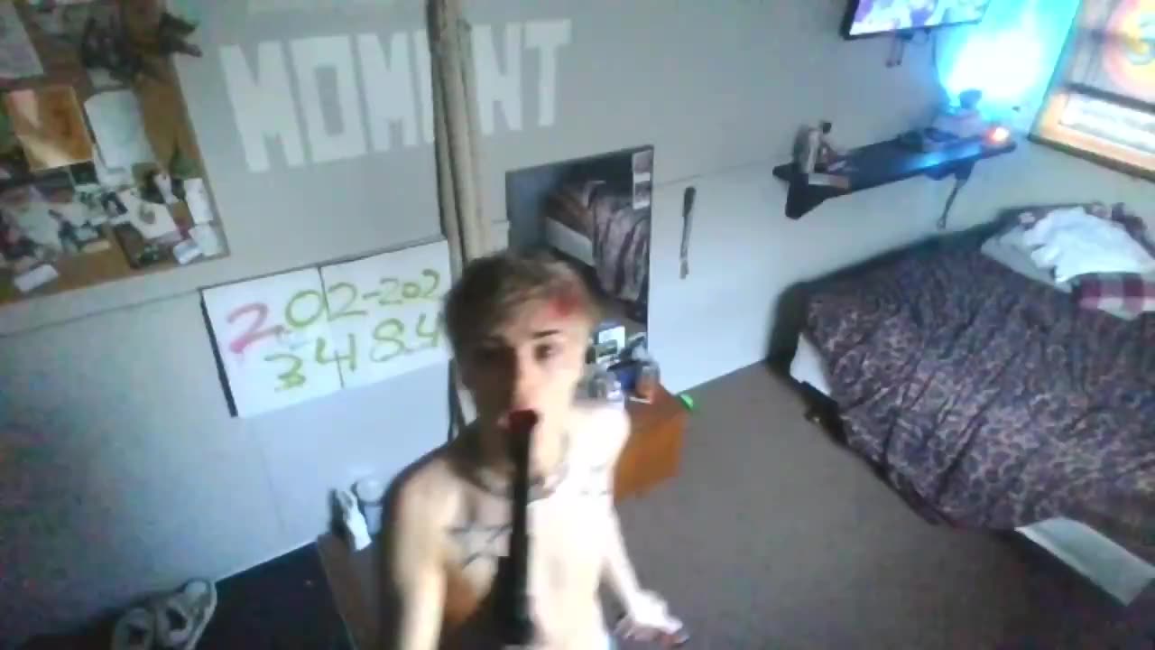 Reallifeunicornn Celeryscape performance