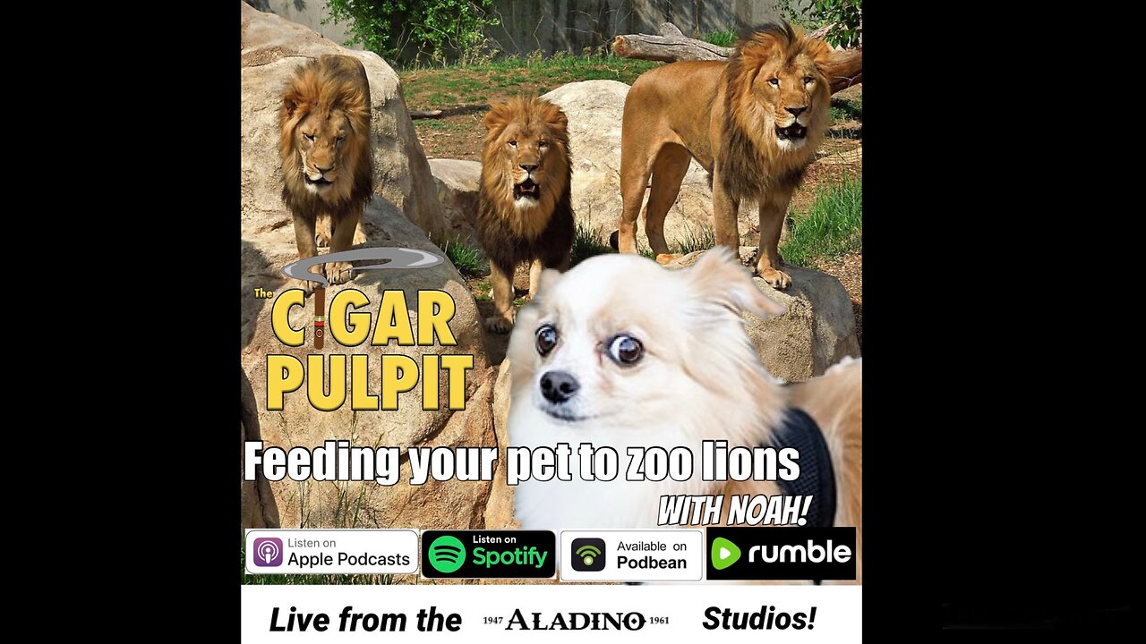 Feeding your pet to the zoo lions with Noah
