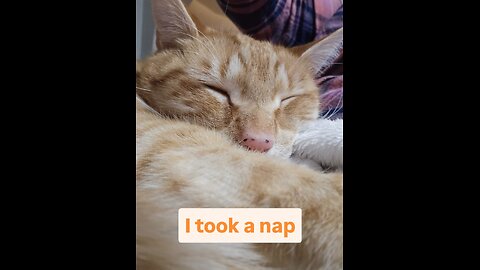 Sometimes a nap is the better choice, right?