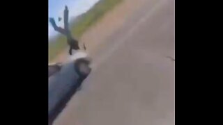 unlicensed student strikes a motorcyclists during a school ICE protest walkout