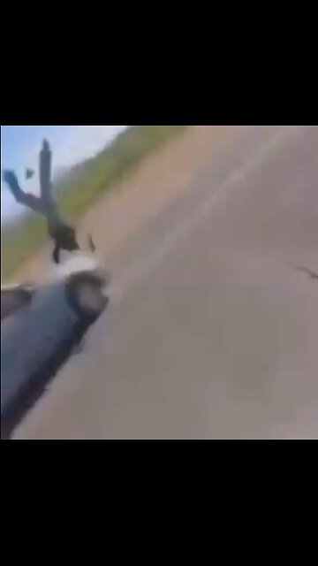 unlicensed student strikes a motorcyclists during a school ICE protest walkout