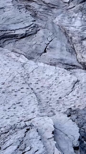 Thousands of dinosaur footprints dating back 200 million years have been discovered in a