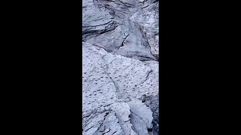 Thousands of dinosaur footprints dating back 200 million years have been discovered in a