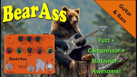 BearAss: Fuzz - Sustainer - Compressor