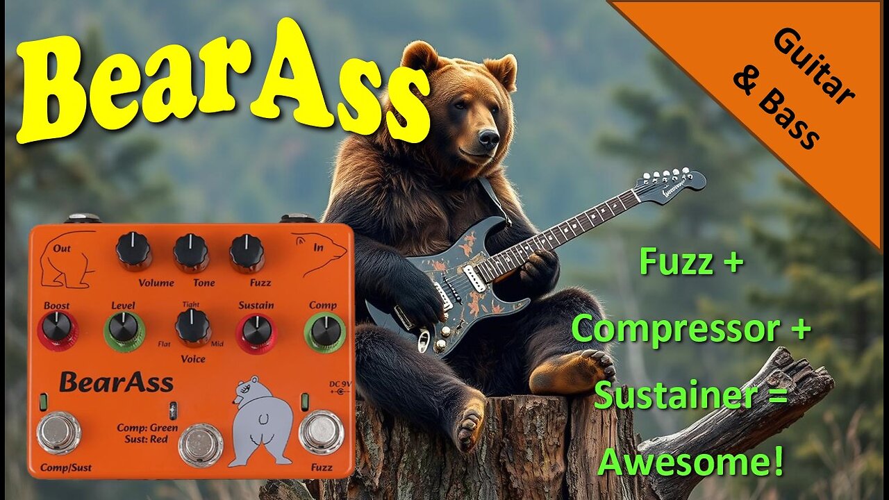 BearAss: Fuzz - Sustainer - Compressor