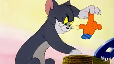 Tom and Jerry Cartoons
