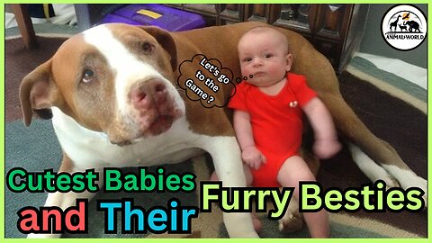 Cutest Babies and Their Furry Besties 🐶🐱 _ Compilation 💞