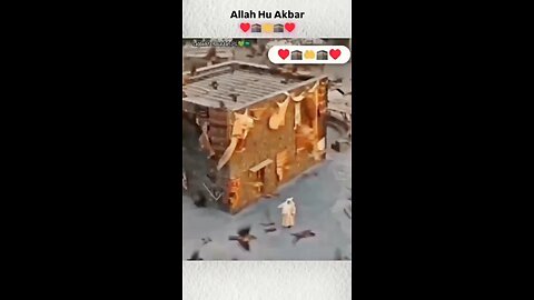 Amazing Video