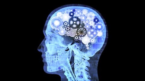 The Human Hypocrite And The Evolving Mind